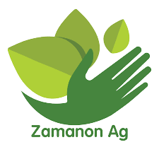 Zamanon AG